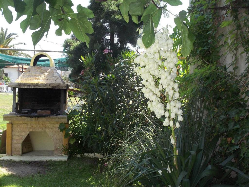 Fotini'S Studios 1 Toroni Exterior photo